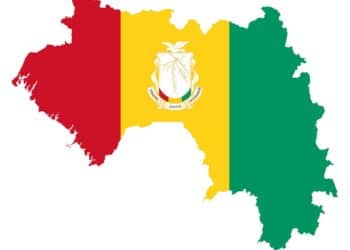 « Leçon de 60 ans de pratique : Une Constitution à la Vème République française ne peut pas faire le bonheur de la Guinée » Tribune…