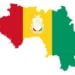 « Leçon de 60 ans de pratique : Une Constitution à la Vème République française ne peut pas faire le bonheur de la Guinée » Tribune…