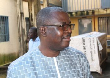 Après le décret portant sur l’ouverture de la campagne des législatives 2020 : Faya Millimono compare Alpha Condé à Oumar El Béchir et Blaise Compaoré…