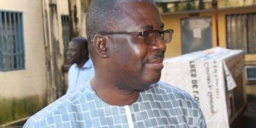 Après le décret portant sur l’ouverture de la campagne des législatives 2020 : Faya Millimono compare Alpha Condé à Oumar El Béchir et Blaise Compaoré…