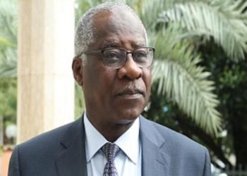 Guinée : le chef de la diplomatie répond en filigrane la France « la Guinée reconnaît à chacun de ses citoyens et à d’autres le droit et la liberté de donner leurs points de vue…