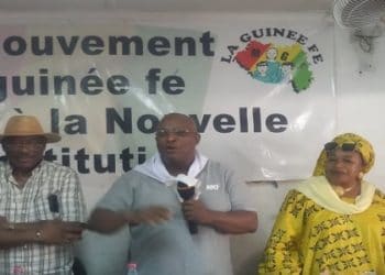 Double scrutin du 22 mars : Mouvement La Guinée Fé retrousse les manches…
