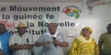 Double scrutin du 22 mars : Mouvement La Guinée Fé retrousse les manches…