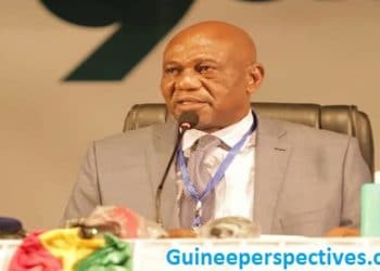 Guinée : le nouveau parlement proroge l’état d’urgence jusqu’au 15 juin 2020…