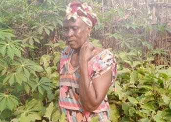 Boffa/ Kolia : à la rencontre d’une paysanne qui vit essentiellement du fruit de la terre…