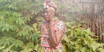 Boffa/ Kolia : à la rencontre d’une paysanne qui vit essentiellement du fruit de la terre…