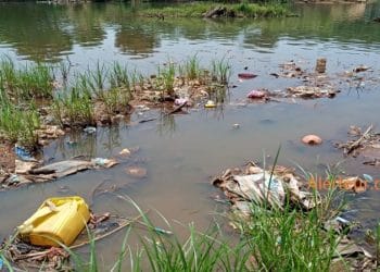 Kankan : les alentours du fleuve Milo transformés en dépotoir d’ordures !