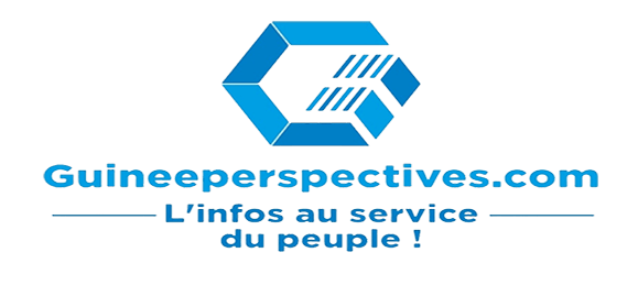 Guineeperspectives