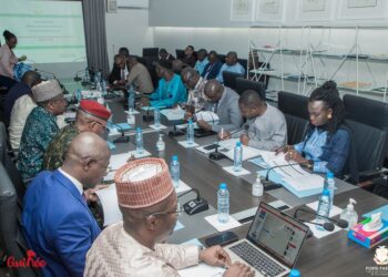 Le Gouvernement de la Transition Guinéen fait du Partenariat Public-Privé un outil de développement