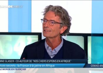 Les sanctions de la Cédéao contre la Guinée seront moins fortes que pour le Mali, selon un spécialiste de l’Afrique