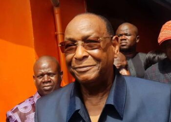 Recensement et budget des élections : des critiques adressées au colonel Doumbouya