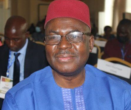 Nomination des conseils de quartier : Faya Millimouno fustige la décision de Doumbouya