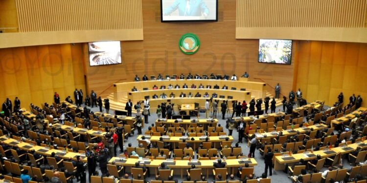 Situation au Niger : divergence au sein de l’UA sur le recours à la force